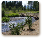 restorestreambank