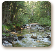 rockystreambed