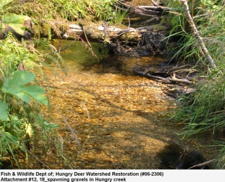 Fish Spawning Gravels Hungry Deer Watershed