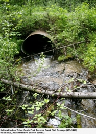 Perched Culvert Fish Passage Barrier South Fork Tacoma Creek