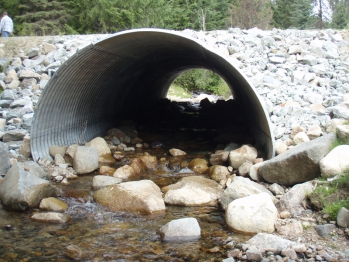 Restored Fish Passage Mineral Creek